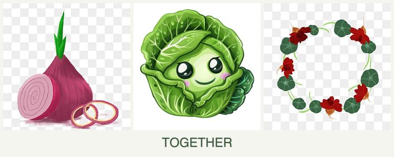 Can you plant onions, cabbage and nasturtiums together?