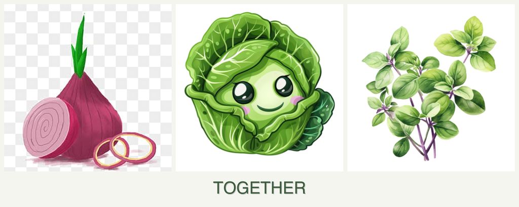 Can you plant onions, cabbage and oregano together?