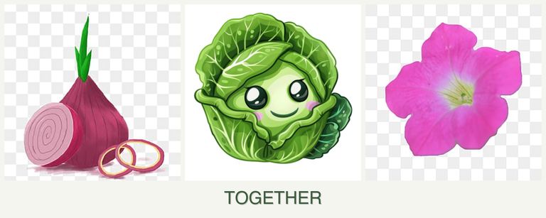 Can you plant onions, cabbage and petunias together?
