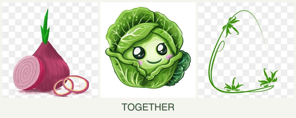 Can you plant onions, cabbage and tarragon together?