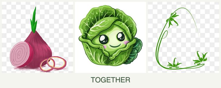 Can you plant onions, cabbage and tarragon together?