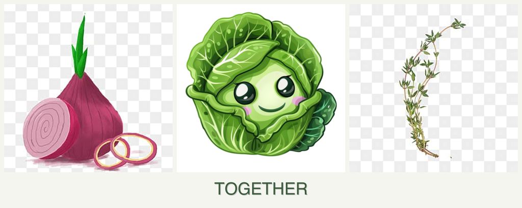Can you plant onions, cabbage and thyme together?