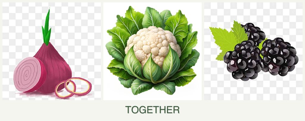 Can you plant onions, cauliflower and blackberries together?