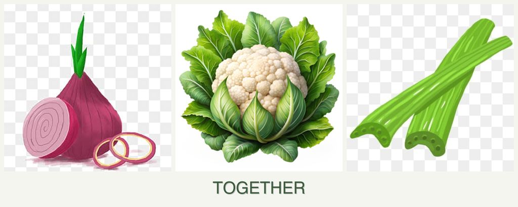 Can you plant onions, cauliflower and celery together?