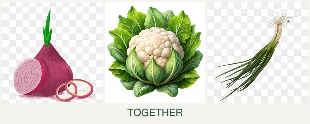 Can you plant onions, cauliflower and chives together?