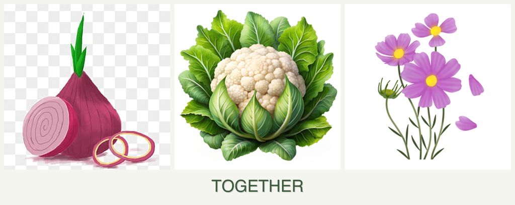 Can you plant onions, cauliflower and cosmos together?