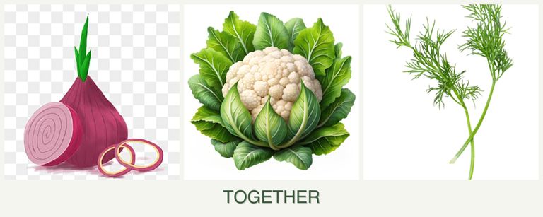 Can you plant onions, cauliflower and dill together?