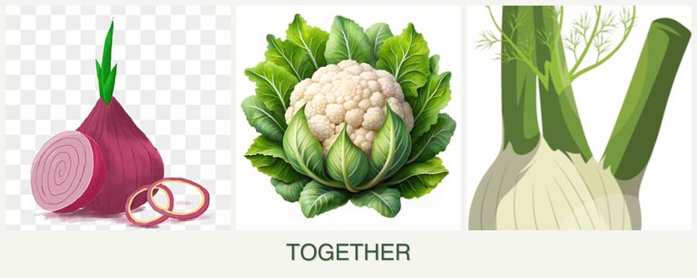 Can you plant onions, cauliflower and fennel together?