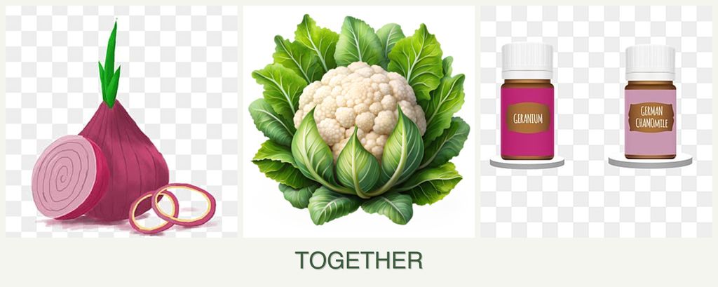 Can you plant onions, cauliflower and geraniums together?