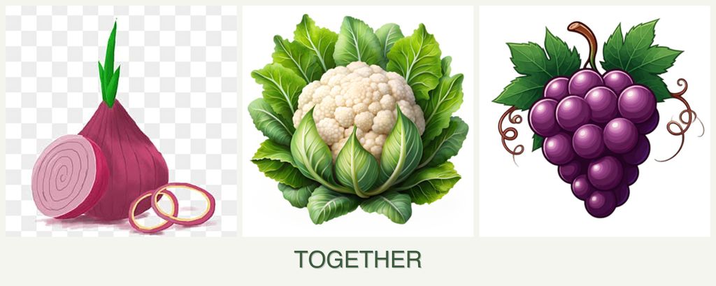 Can you plant onions, cauliflower and grapes together?