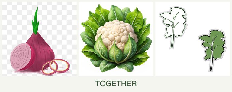 Can you plant onions, cauliflower and kale together?