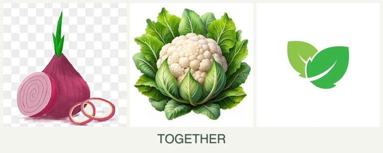 Can you plant onions, cauliflower and mint together?