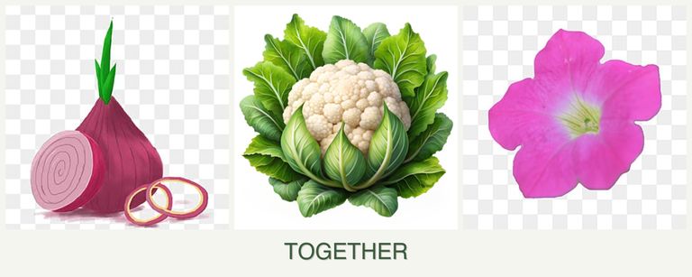 Can you plant onions, cauliflower and petunias together?