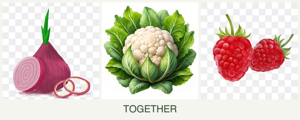 Can you plant onions, cauliflower and raspberries together?
