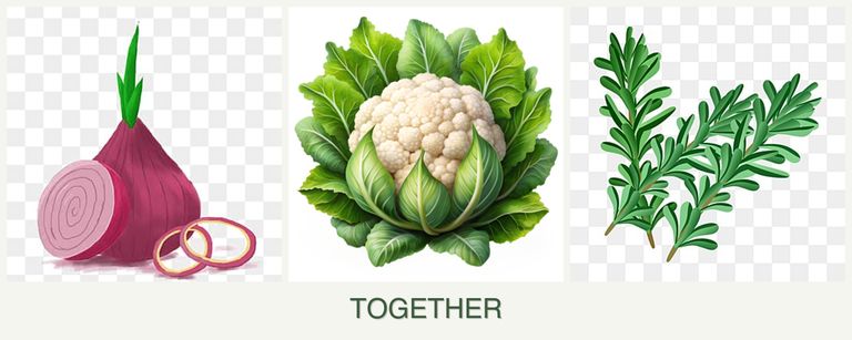 Can you plant onions, cauliflower and rosemary together?