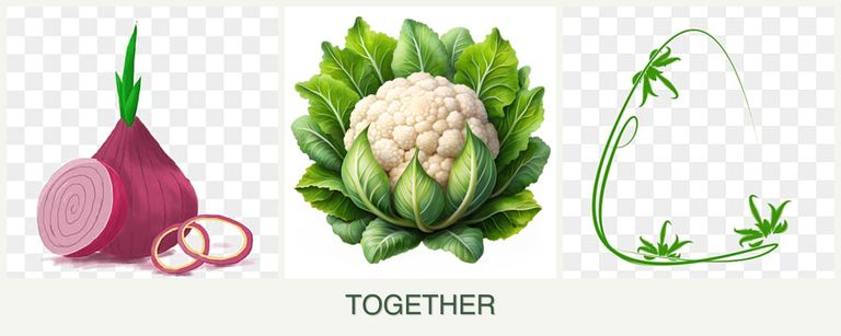 Can you plant onions, cauliflower and tarragon together?