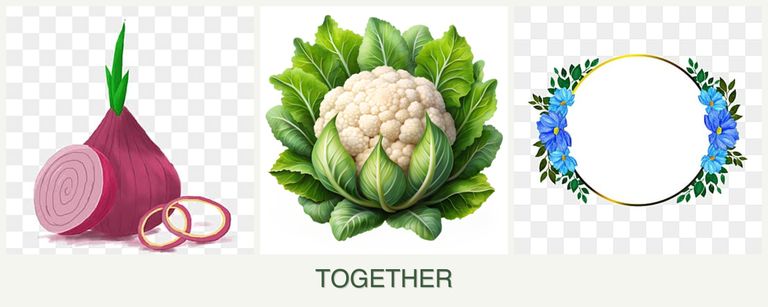 Can you plant onions, cauliflower and zinnias together?