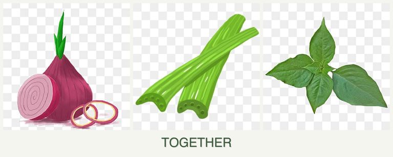 Can you plant onions, celery and basil together?