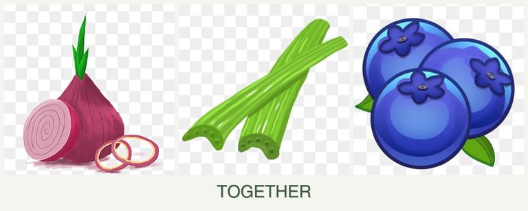 Can you plant onions, celery and blueberries together?