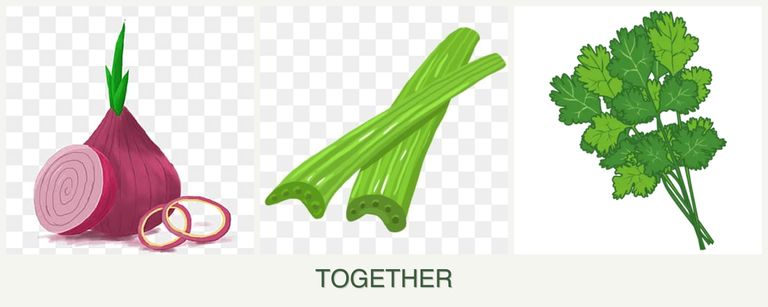 Can you plant onions, celery and cilantro together?