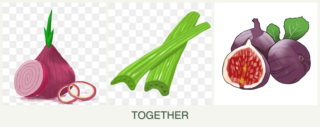 Can you plant onions, celery and figs together?