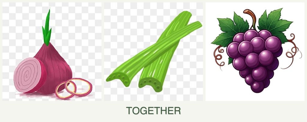 Can you plant onions, celery and grapes together?