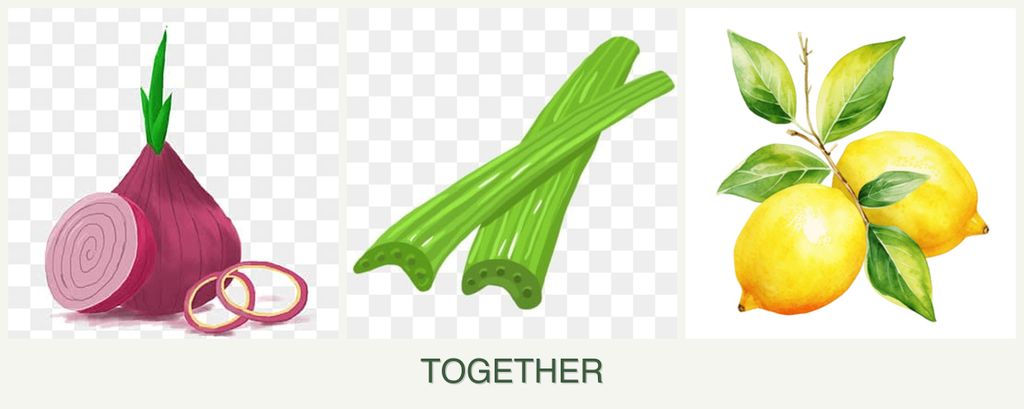 Can you plant onions, celery and lemons together?