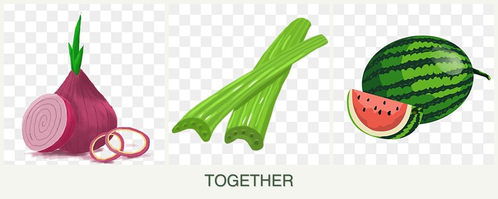 Can you plant onions, celery and melons together?