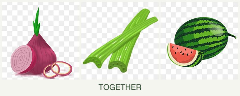 Can you plant onions, celery and melons together?