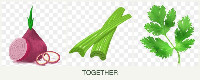 Can you plant onions, celery and parsley together?