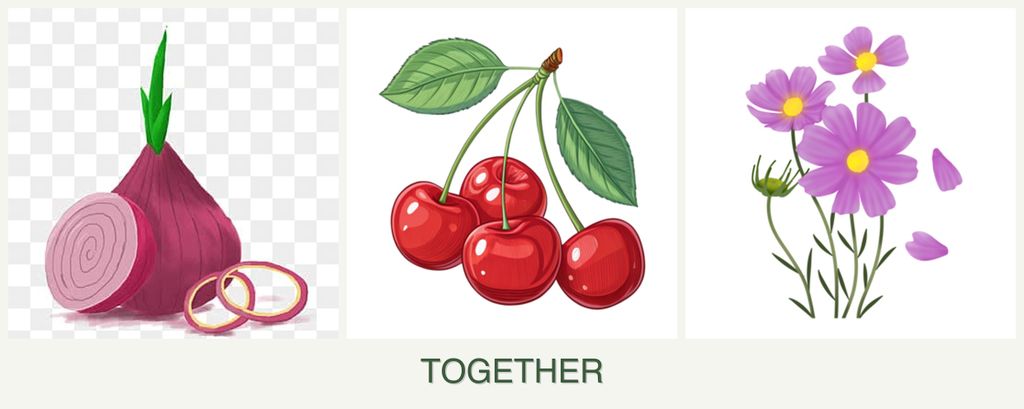 Can you plant onions, cherries and cosmos together?