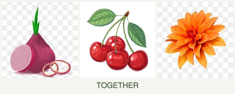 Can you plant onions, cherries and dahlias together?