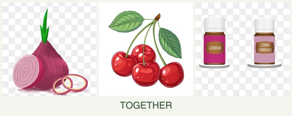 Can you plant onions, cherries and geraniums together?