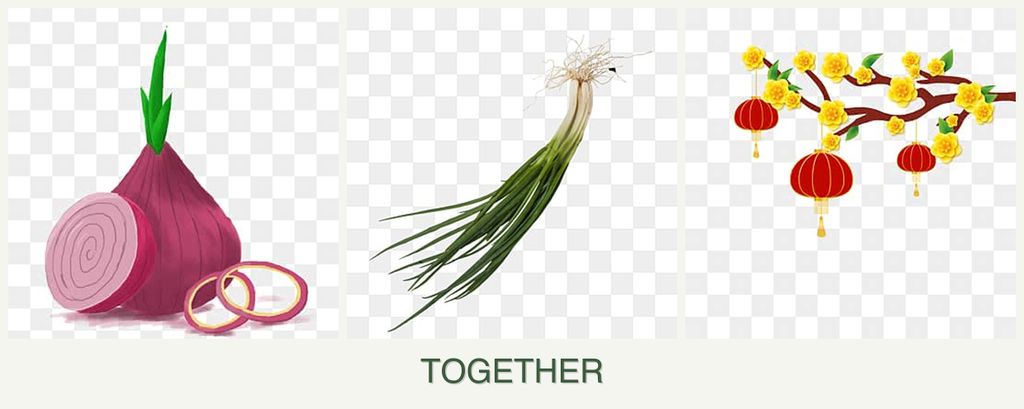 Can you plant onions, chives and apricots together?