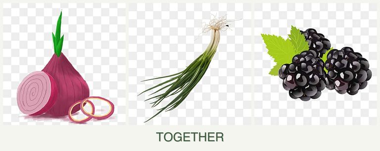 Can you plant onions, chives and blackberries together?