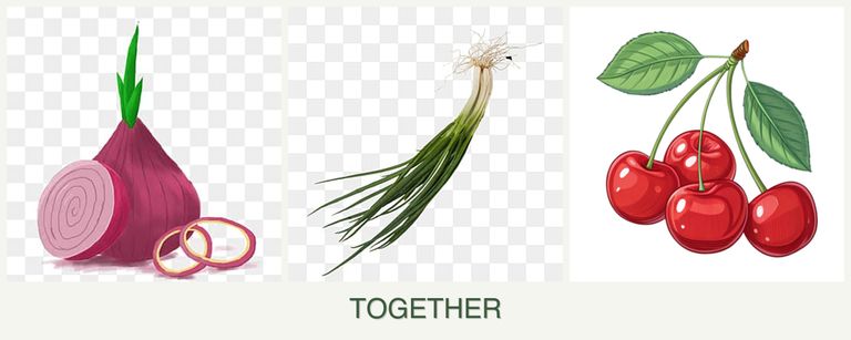 Can you plant onions, chives and cherries together?