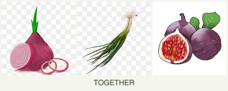 Can you plant onions, chives and figs together?