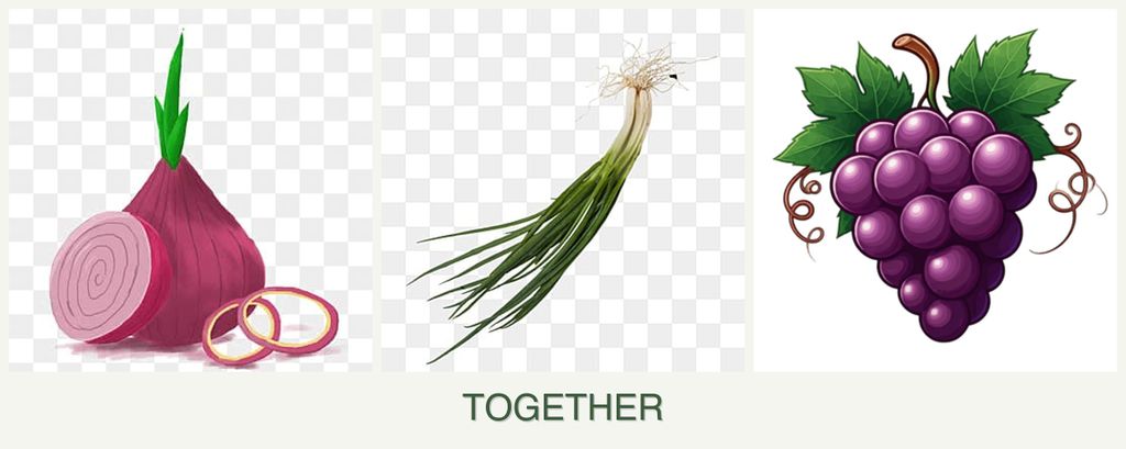 Can you plant onions, chives and grapes together?