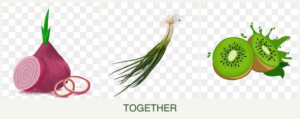 Can you plant onions, chives and kiwi together?