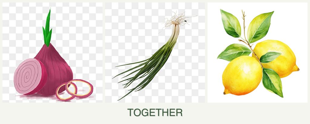 Can you plant onions, chives and lemons together?