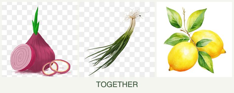 Can you plant onions, chives and lemons together?