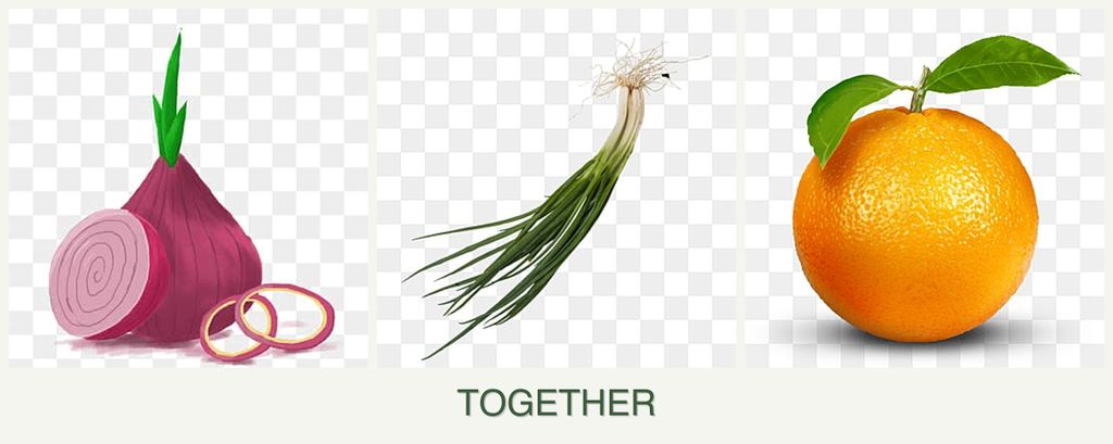 Can you plant onions, chives and oranges together?