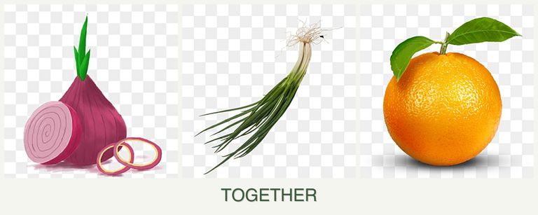 Can you plant onions, chives and oranges together?