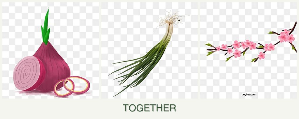 Can you plant onions, chives and peaches together?