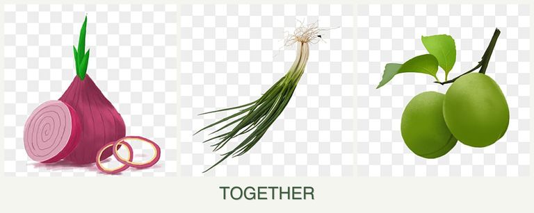 Can you plant onions, chives and plums together?