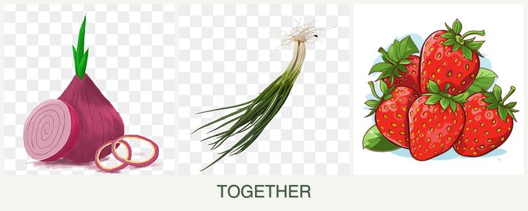 Can you plant onions, chives and strawberries together?