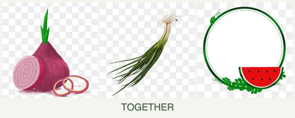 Can you plant onions, chives and watermelons together?