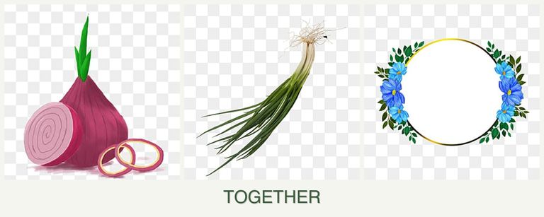 Can you plant onions, chives and zinnias together?