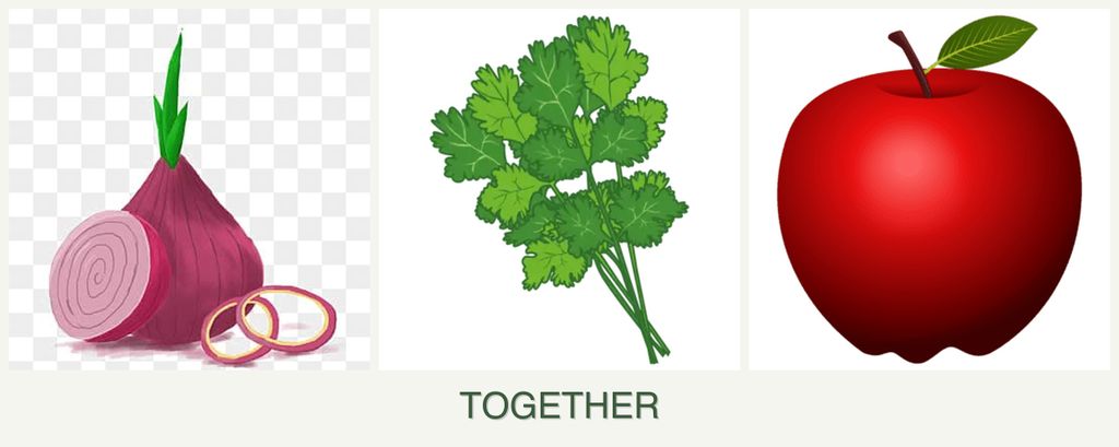 Can you plant onions, cilantro and apples together?