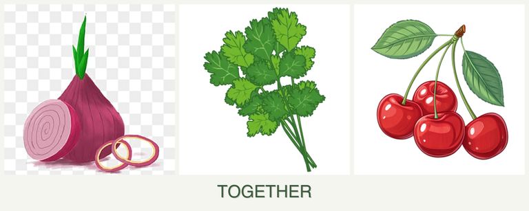 Can you plant onions, cilantro and cherries together?